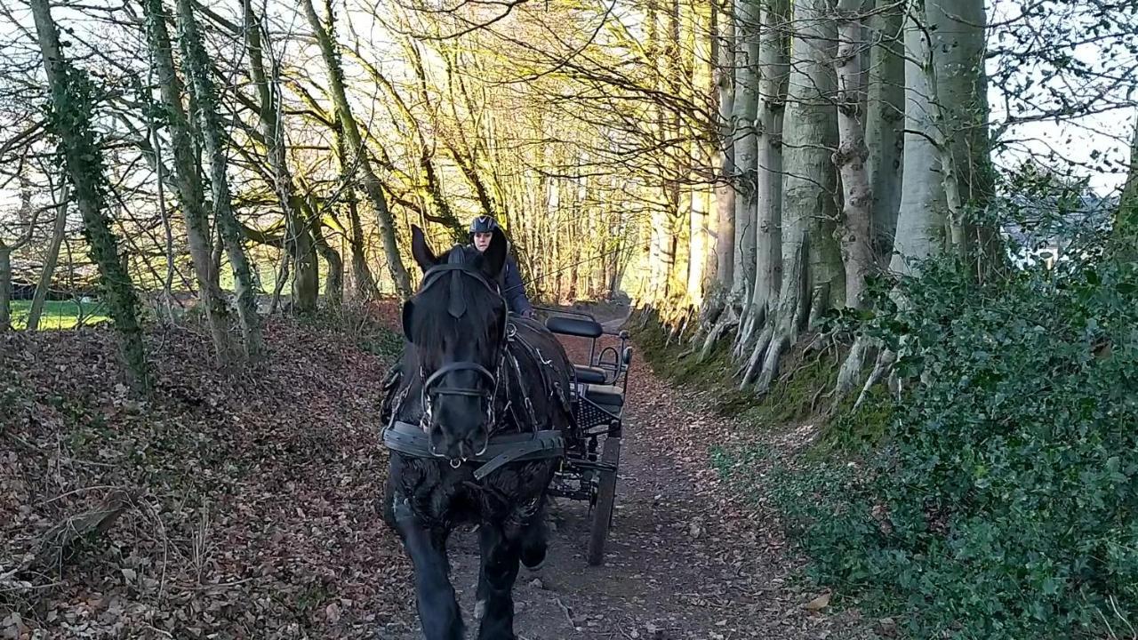 Eco-Gite La Chambre Du Vanneur Mentheville Buitenkant foto